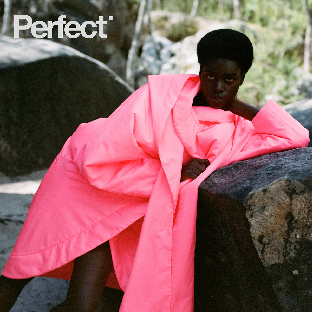 Lundlund : Perfect Magazine  : 1